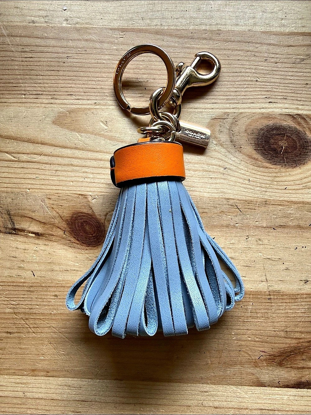 Coach Leather Tassel Bag Charm Keyring Keychain
